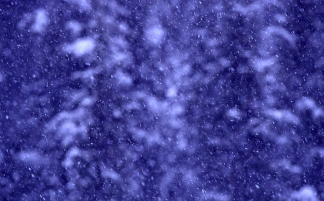 Snow falling Picture