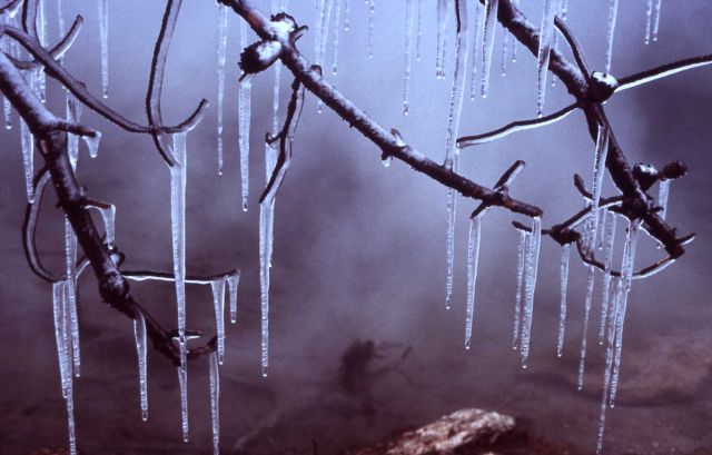 Icicles Picture