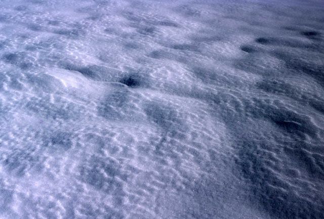 Snow on the ground Picture