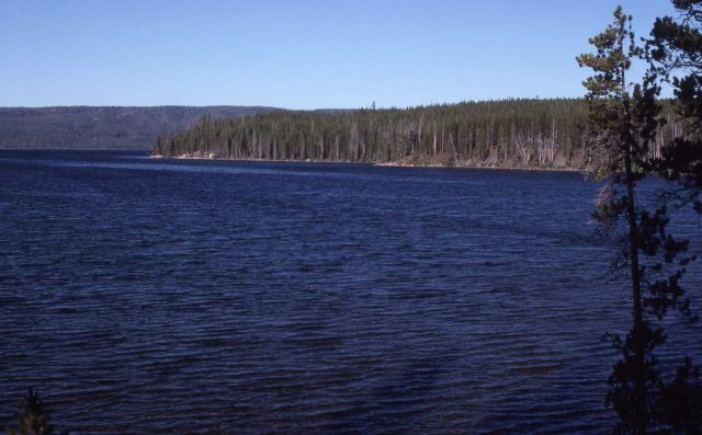 Shoshone Lake Picture