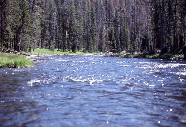 Lewis River channel Picture