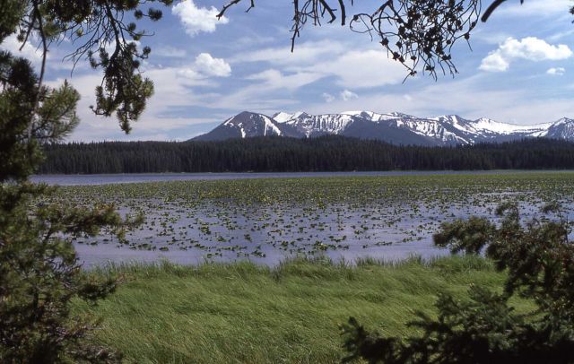 Riddle Lake, Mt Sheridan & Red Mountains Picture