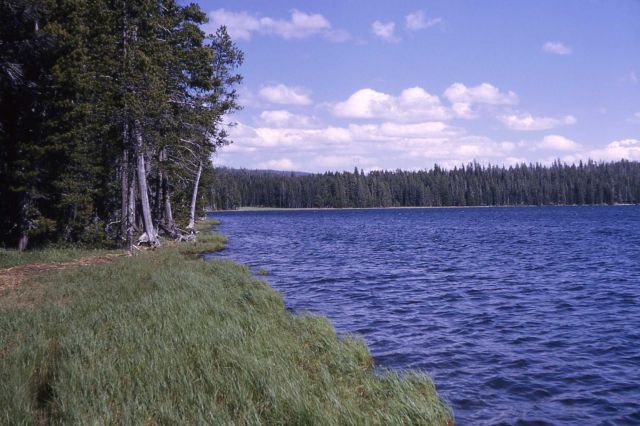 Riddle Lake Picture