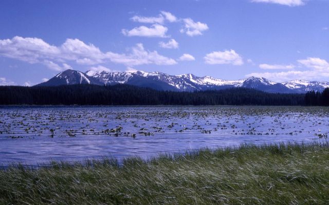 Riddle Lake Picture