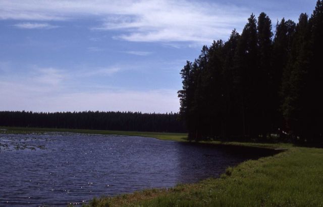 Riddle Lake Picture