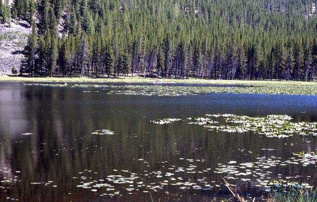 Harlequin Lake Picture