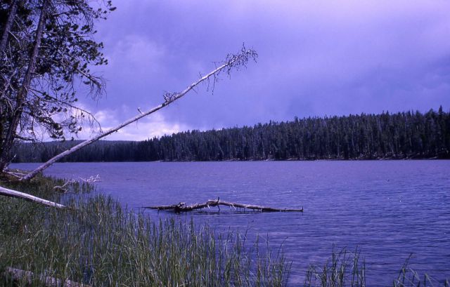 Ice Lake Picture