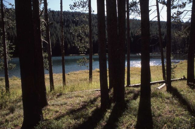 North Twin Lake Picture