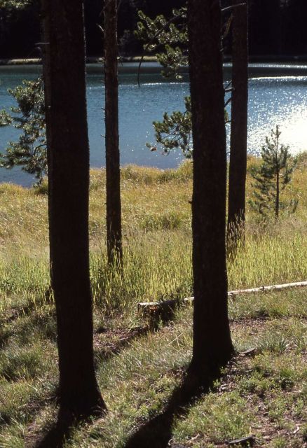 North Twin Lake Picture