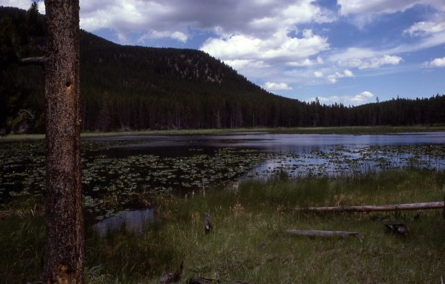Harlequin Lake Picture