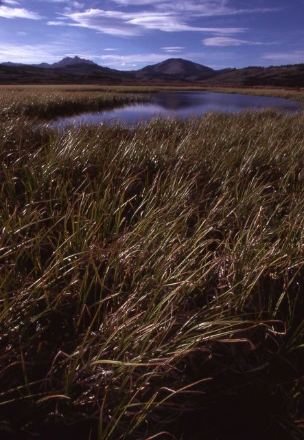 Swan Lake Flats Picture