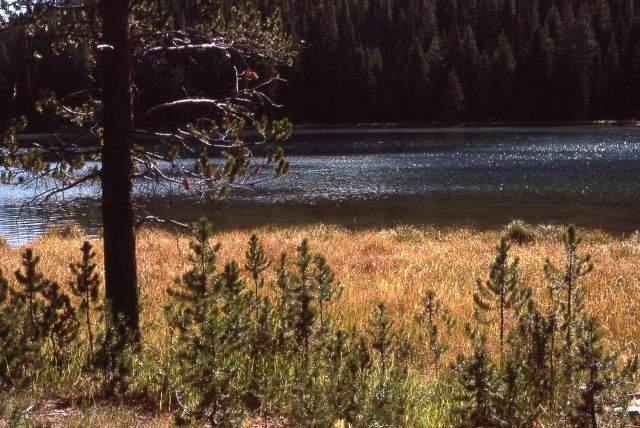 North Twin Lake Picture