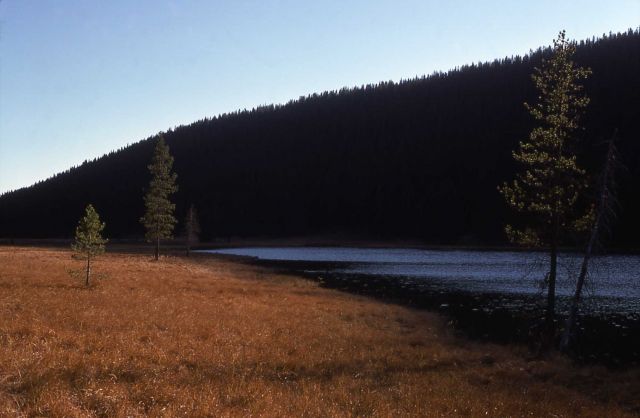 South Twin Lake Picture