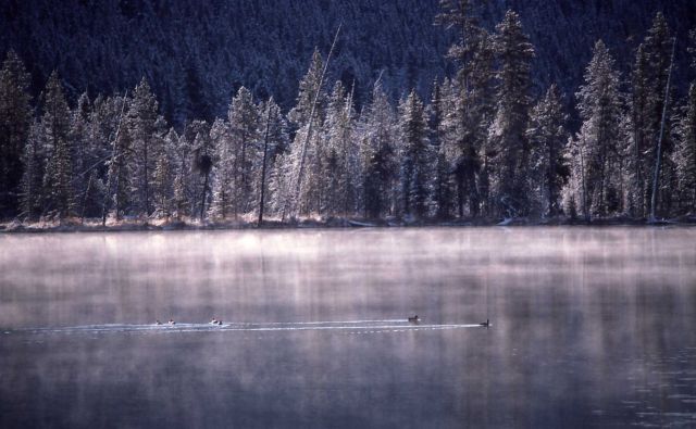 North Twin Lake Picture