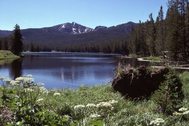 Sylvan Lake Picture