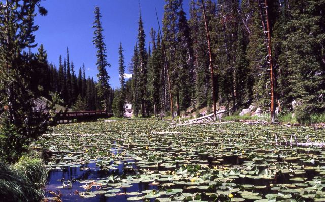 Isa Lake Picture