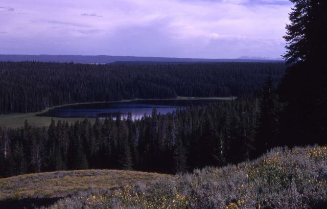 Cascade Lake Picture