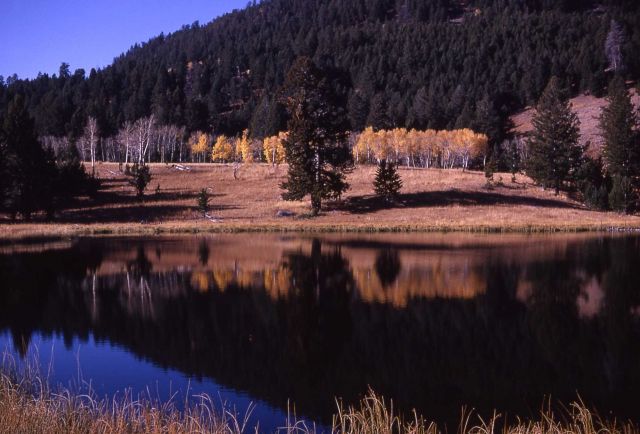 Floating Island Lake Picture
