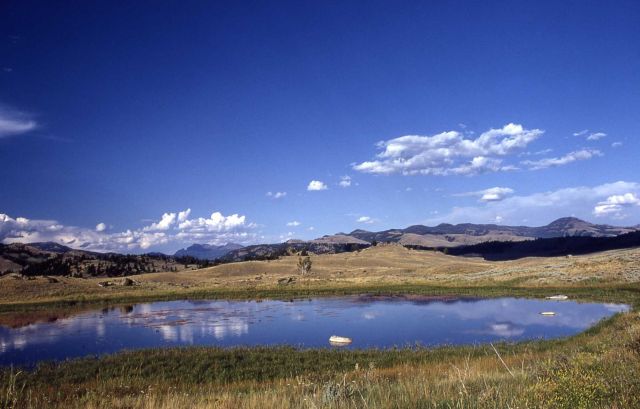 Glacial kettle pond in Lamar Valley Picture