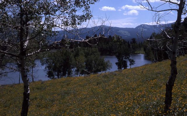 Large lake at the top of Mt Everts Picture