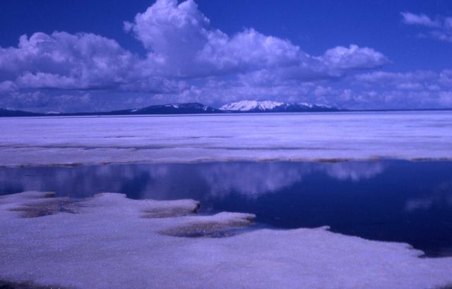 Ice melting on Yellowstone Lake as seen from Mary Bay Picture
