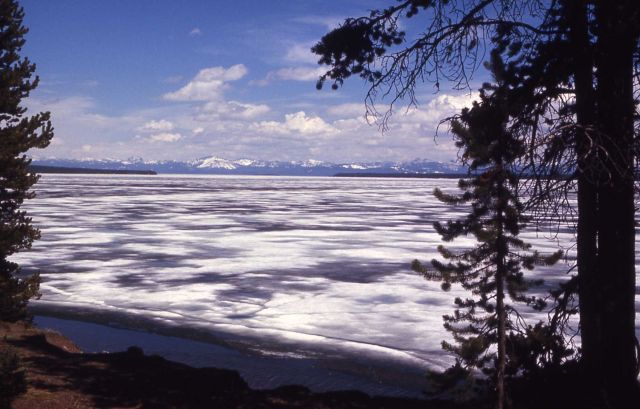Ice melting on Yellowstone Lake Picture