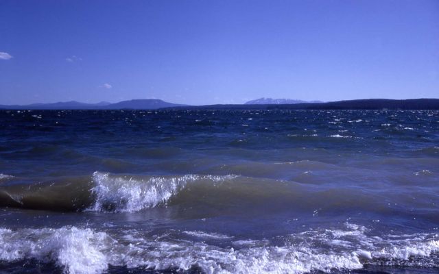Rough water on Yellowstone Lake Picture