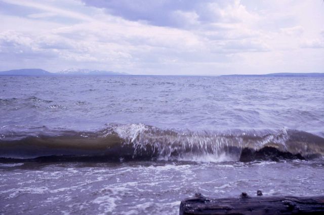 Breaker on Yellowstone Lake Picture