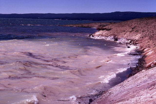 Breaker & erosion on Yellowstone Lake Picture