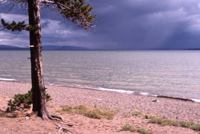 Storm on Yellowstone Lake Picture