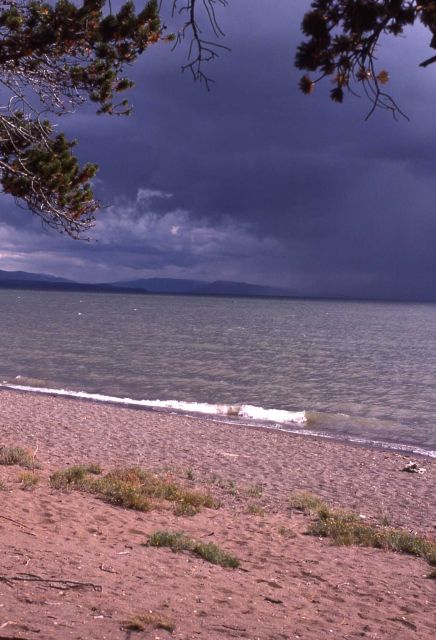 Storm on Yellowstone Lake Picture