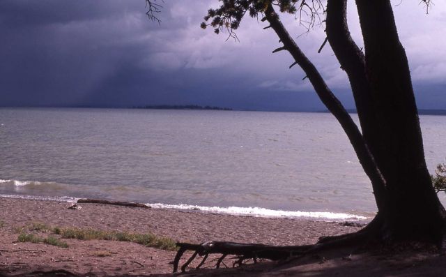 Storm on Yellowstone Lake Picture