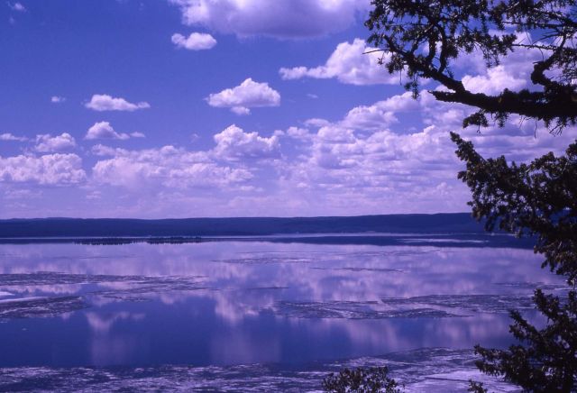 Ice thawing on Yellowstone Lake Picture