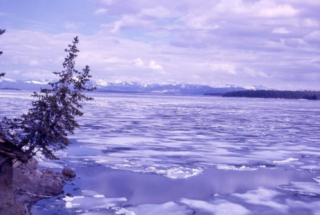 Ice thawing on Yellowstone Lake Picture