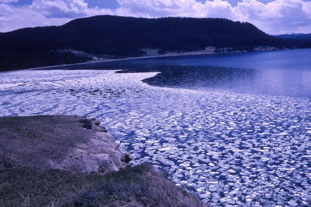 Ice thawing on Yellowstone Lake Picture