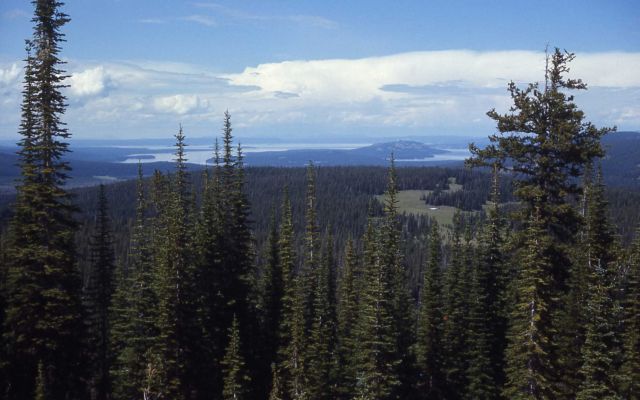 South end of Yellowstone Lake Picture
