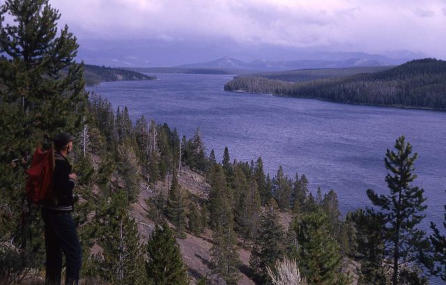 Yellowstone Lake and Flat Mountain Arm Picture