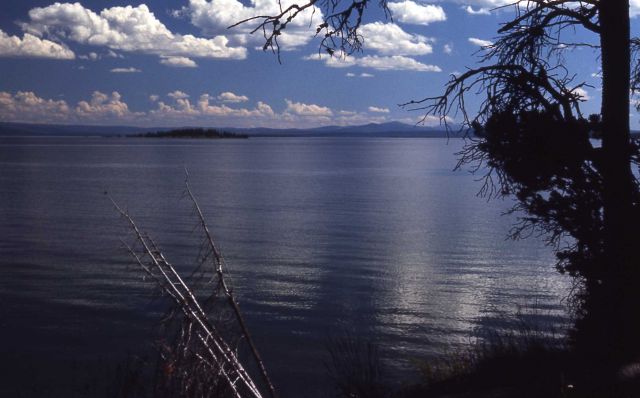 Yellowstone Lake Picture