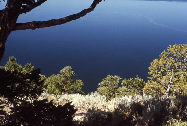 Yellowstone Lake Picture