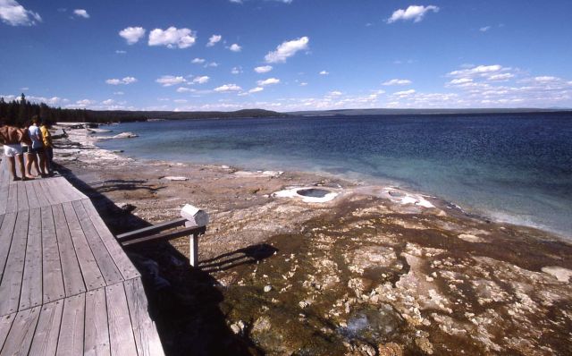 West Thumb shore area of Yellowstone Lake Picture