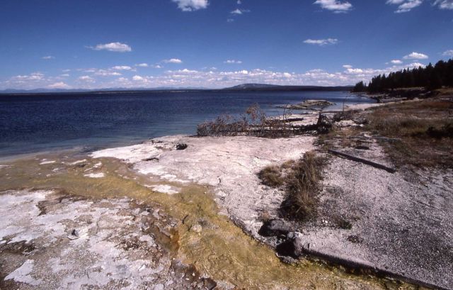 West Thumb shore area of Yellowstone Lake Picture