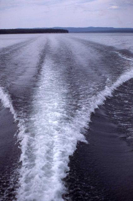 Boat wake on Yellowstone Lake Picture