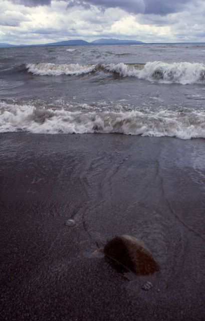 Yellowstone Lake shore Picture