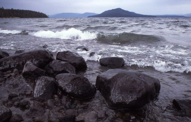 Park Point on Yellowstone Lake Picture