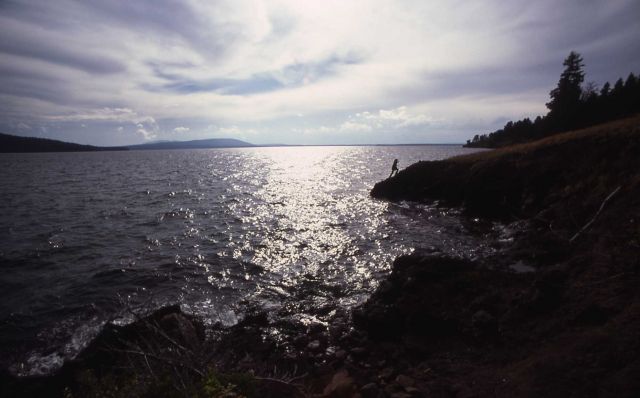 Hiker on the southeast arm of Yellowstone Lake Picture