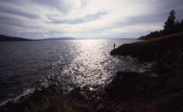 Hiker on the southeast arm of Yellowstone Lake Picture