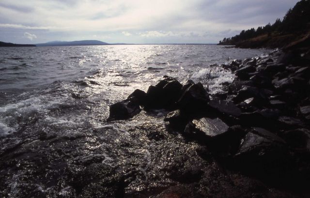 Rocky shore on Yellowstone Lake Picture