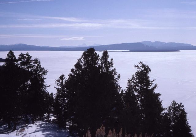 Yellowstone Lake frozen in the winter Picture