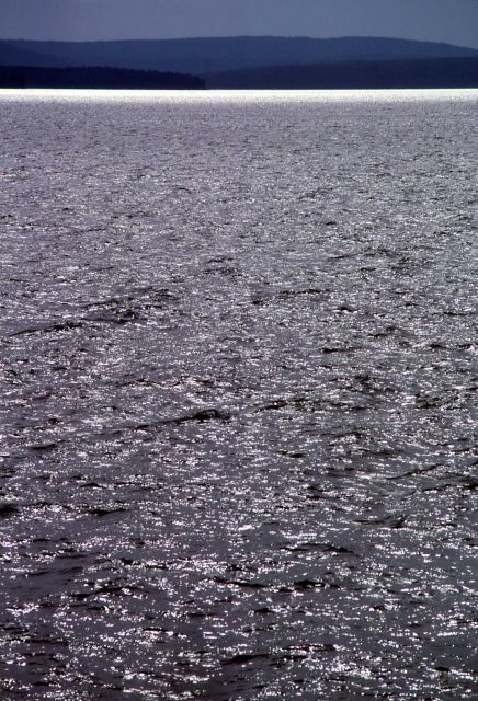 Yellowstone Lake Picture