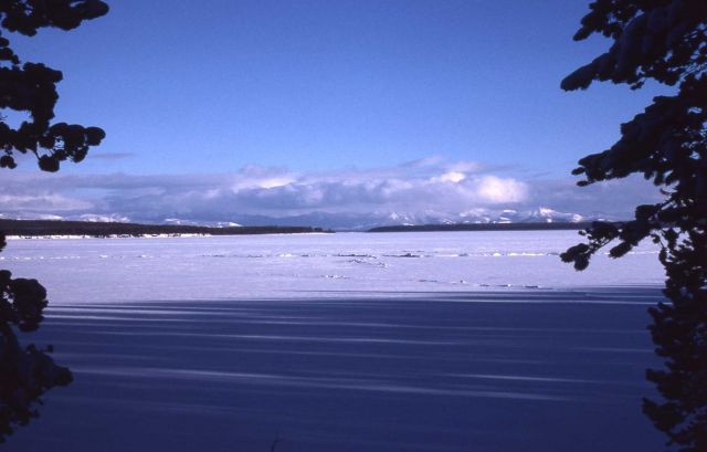 Yellowstone Lake frozen in the winter Picture